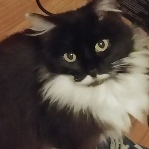 Meet your Posher, Tina